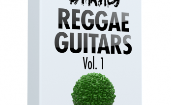 Cymatics – Reggae Guitars Vol 1