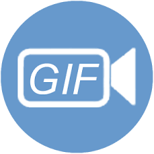 ThunderSoft GIF Converter Crack download from vstreal.com